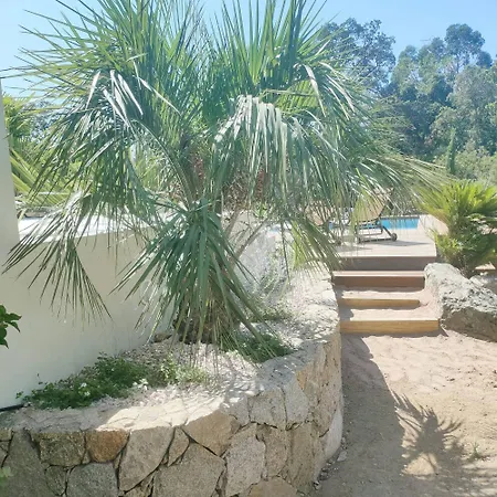 Villa Suara