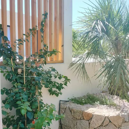 Villa Suara Pinarellu (Corsica)