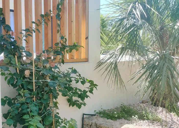 Villa Suara Pinarellu